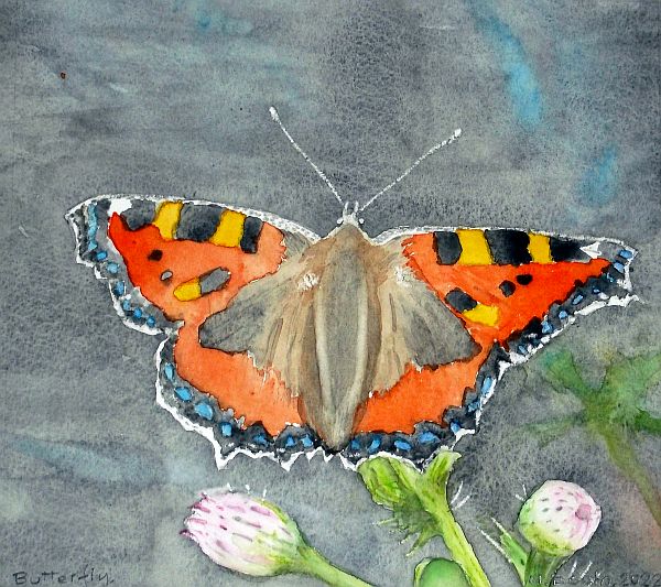 Butterfly, painted 2022