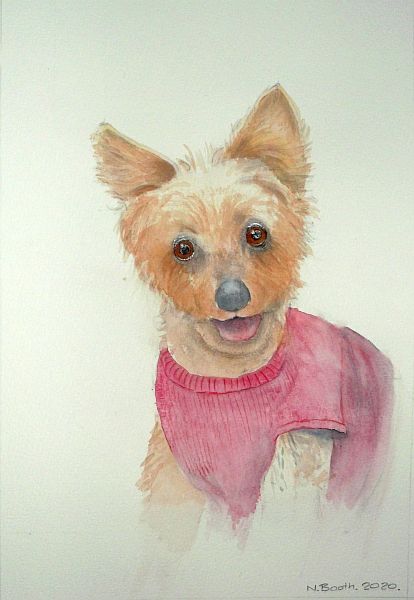 Dog, painted 2020