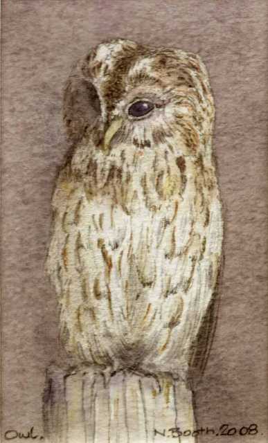 Owl, painted 2008