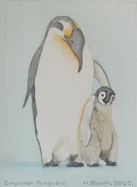 Emperor Penguins, painted 2020