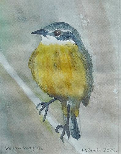 Wagtail, painted 2022